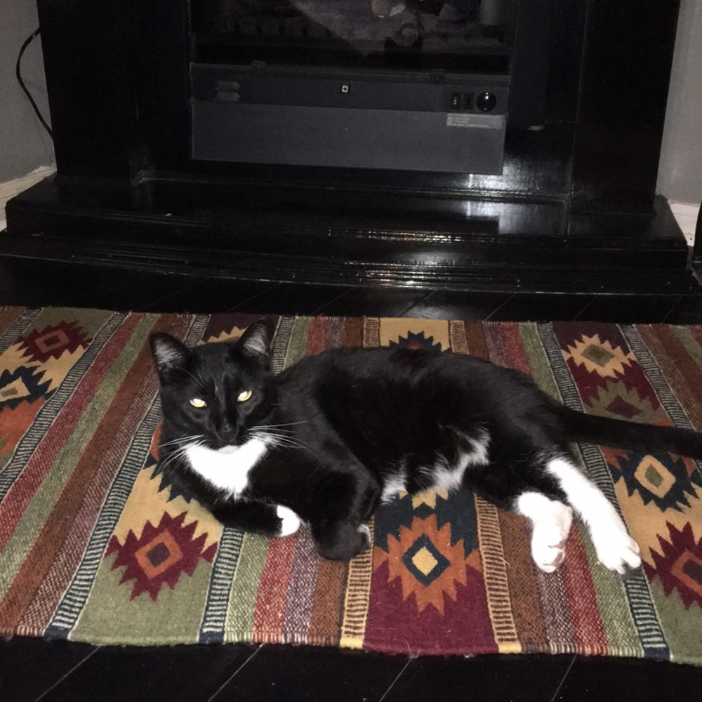 Meet your Posher, Carole